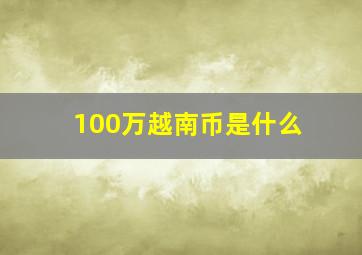 100万越南币是什么