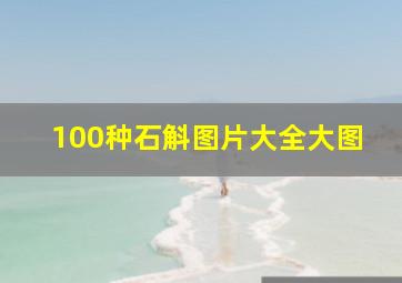 100种石斛图片大全大图