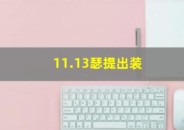 11.13瑟提出装