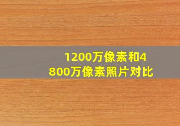 1200万像素和4800万像素照片对比