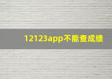 12123app不能查成绩