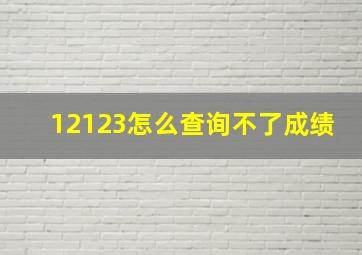 12123怎么查询不了成绩