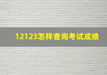 12123怎样查询考试成绩