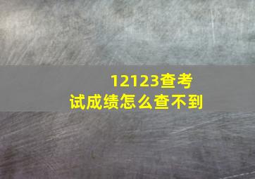 12123查考试成绩怎么查不到