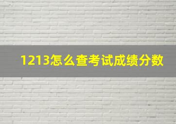 1213怎么查考试成绩分数