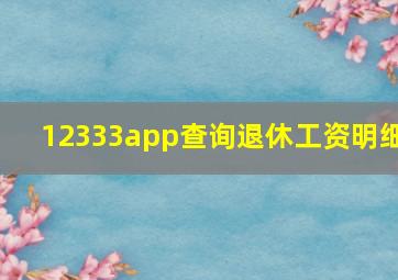 12333app查询退休工资明细