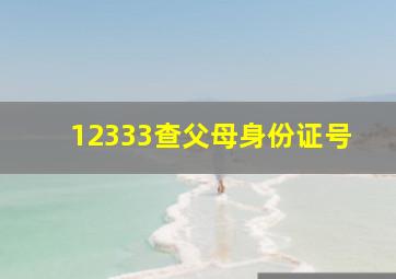 12333查父母身份证号