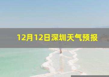 12月12日深圳天气预报