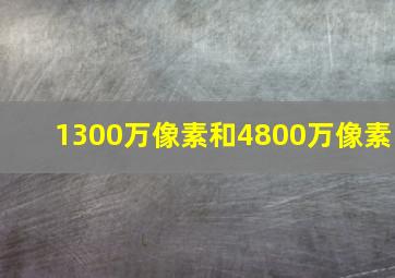 1300万像素和4800万像素