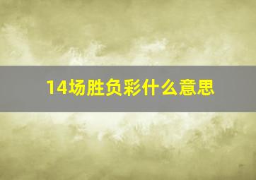 14场胜负彩什么意思