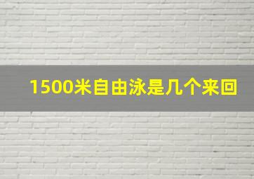 1500米自由泳是几个来回