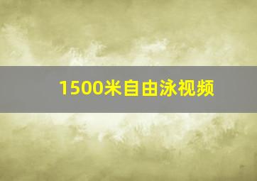 1500米自由泳视频