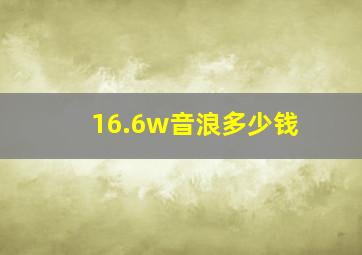 16.6w音浪多少钱