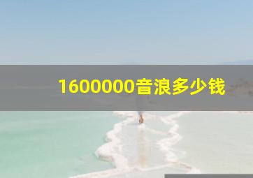 1600000音浪多少钱