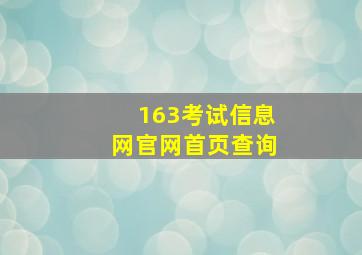 163考试信息网官网首页查询