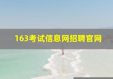 163考试信息网招聘官网