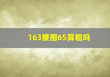 163腰围65算粗吗