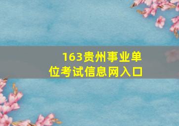 163贵州事业单位考试信息网入口