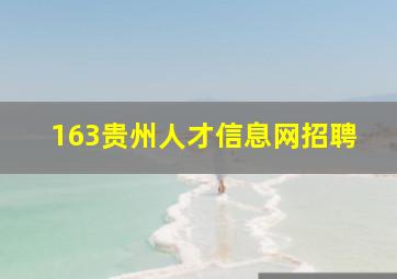 163贵州人才信息网招聘