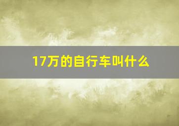 17万的自行车叫什么