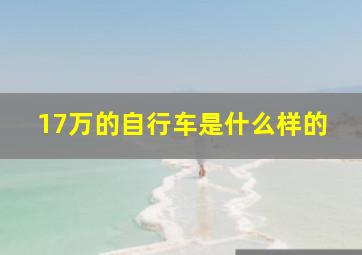 17万的自行车是什么样的