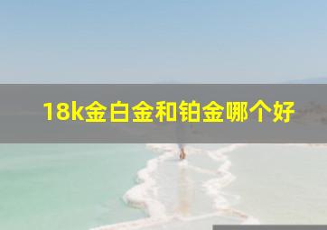 18k金白金和铂金哪个好