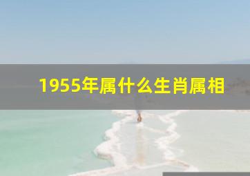 1955年属什么生肖属相