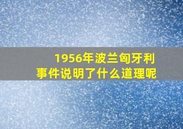 1956年波兰匈牙利事件说明了什么道理呢