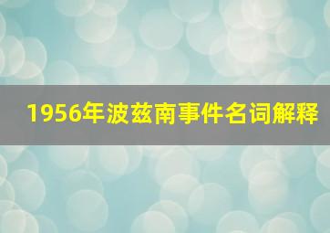 1956年波兹南事件名词解释