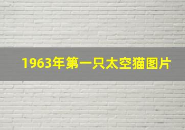 1963年第一只太空猫图片