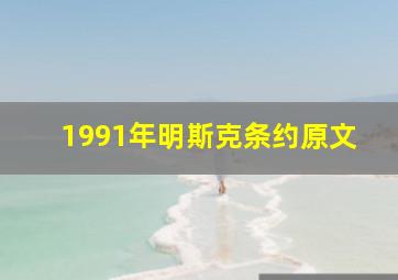 1991年明斯克条约原文