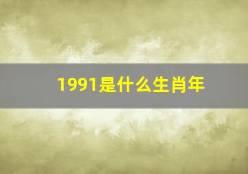 1991是什么生肖年