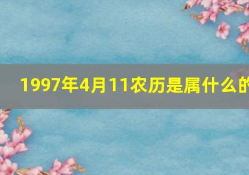 1997年4月11农历是属什么的