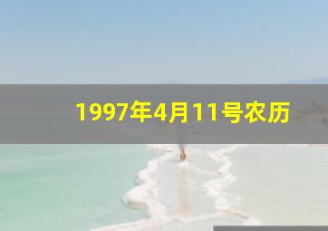 1997年4月11号农历