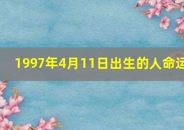 1997年4月11日出生的人命运