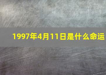 1997年4月11日是什么命运