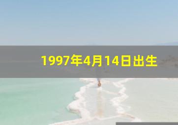 1997年4月14日出生