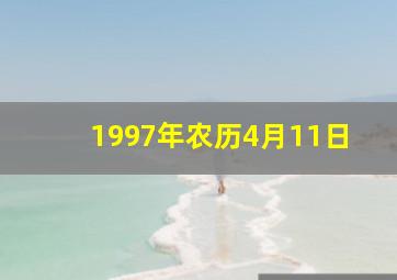 1997年农历4月11日