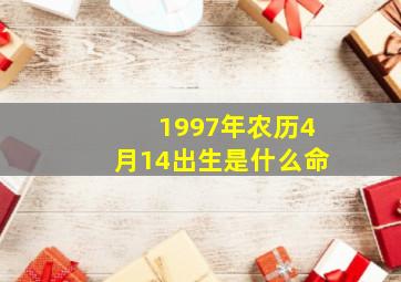 1997年农历4月14出生是什么命