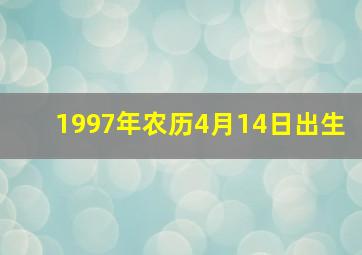 1997年农历4月14日出生