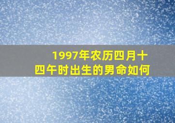 1997年农历四月十四午时出生的男命如何