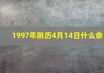 1997年阴历4月14日什么命