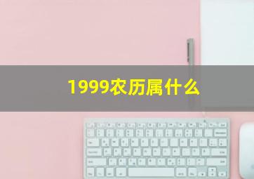 1999农历属什么