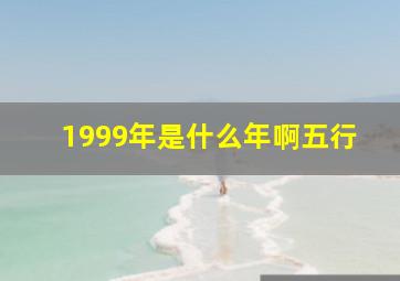 1999年是什么年啊五行