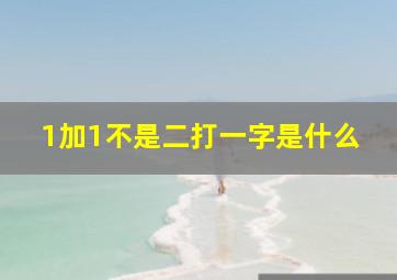 1加1不是二打一字是什么