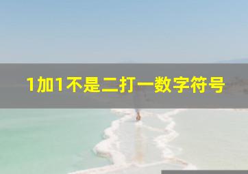 1加1不是二打一数字符号