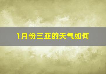 1月份三亚的天气如何