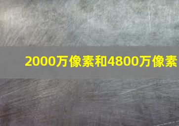 2000万像素和4800万像素