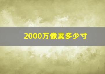 2000万像素多少寸