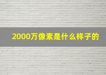 2000万像素是什么样子的